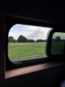 narrow-vent-opening-windows